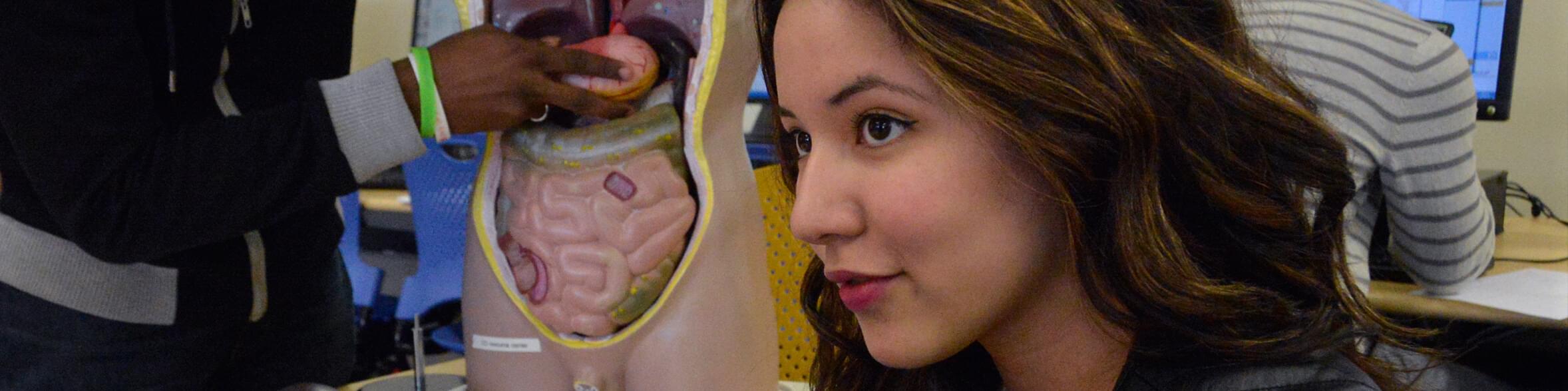 Healthcare Interpreter Certificate Program, Level 1